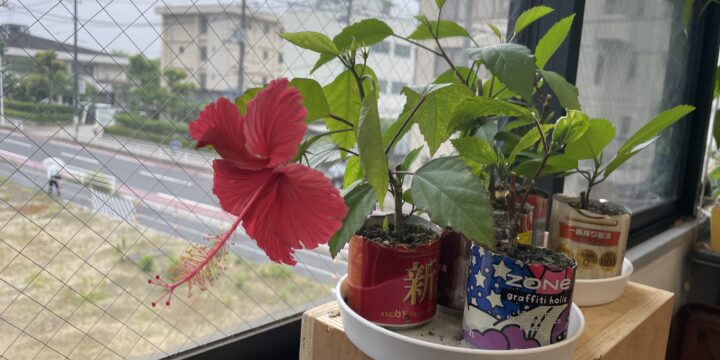 30 Examples Of Technology In Education